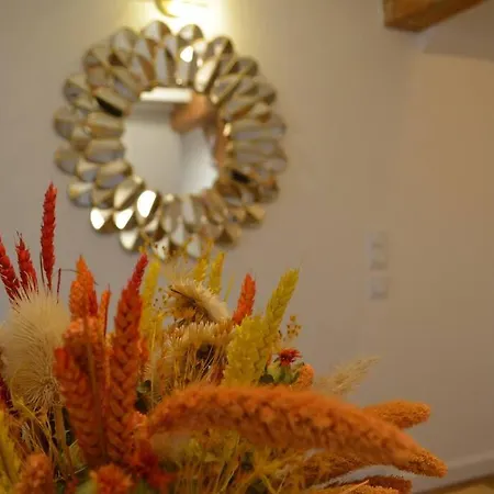 - Proche Chateau Cite 公寓 *